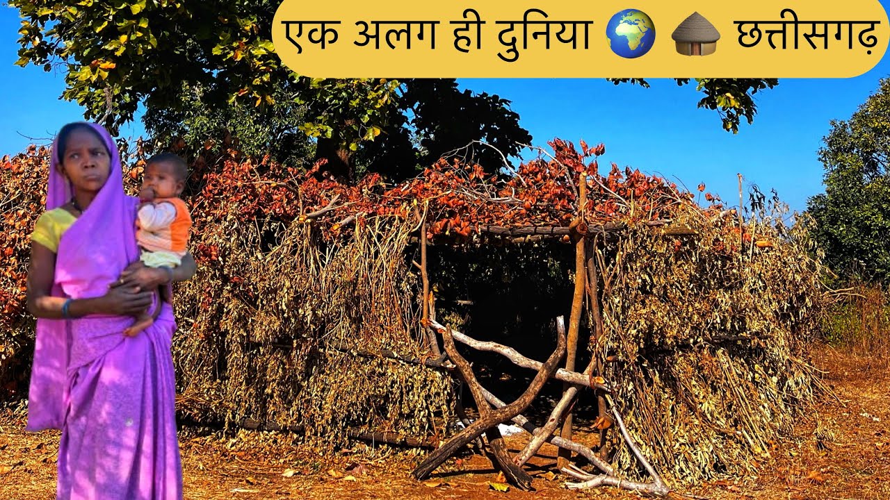 छत्तीसगढ़ के जंगलों में बसे खूबसूरत गाँव का जीवन🛖।Unexplored Tribes and Village,Chhattisgarh India 