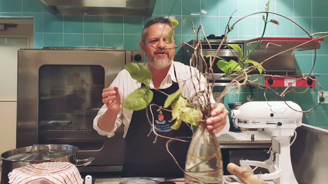 O21: Hennie Fisher Mondia Idombolo