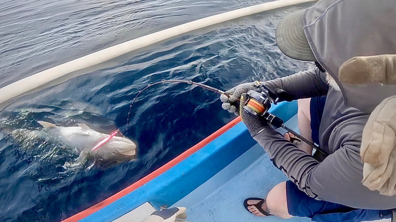PANIK TARIK IKAN GT 25KG DENGAN ALAT JIGGING!