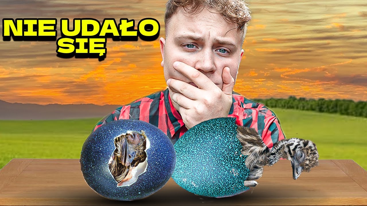 STRACILIŚMY dwa małe EMU&hellip;