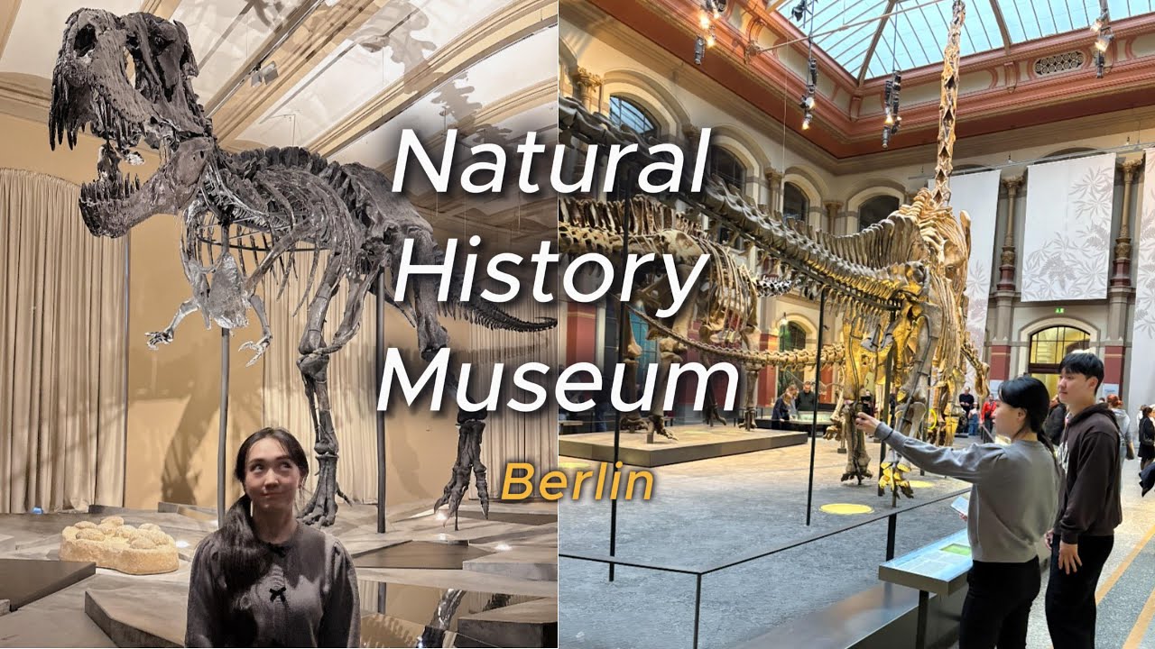 [Travel Diary] Berlin Natural History Museumㅣ베를린 자연사 박물관ㅣ여행기록ㅣ베를린 추천 명소