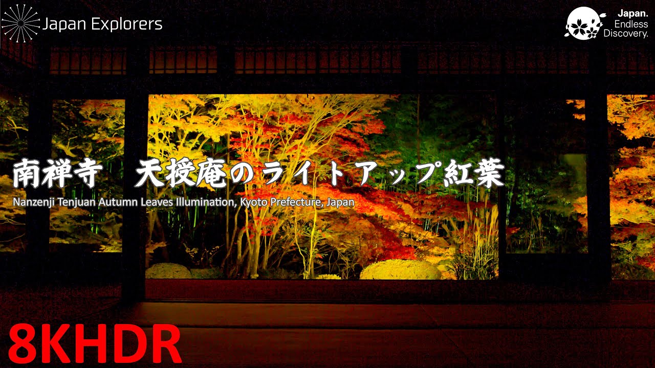 南禅寺 天授庵のライトアップ紅葉 Autumn Leaves of Nanzenji Tenjuan [8KHDR]