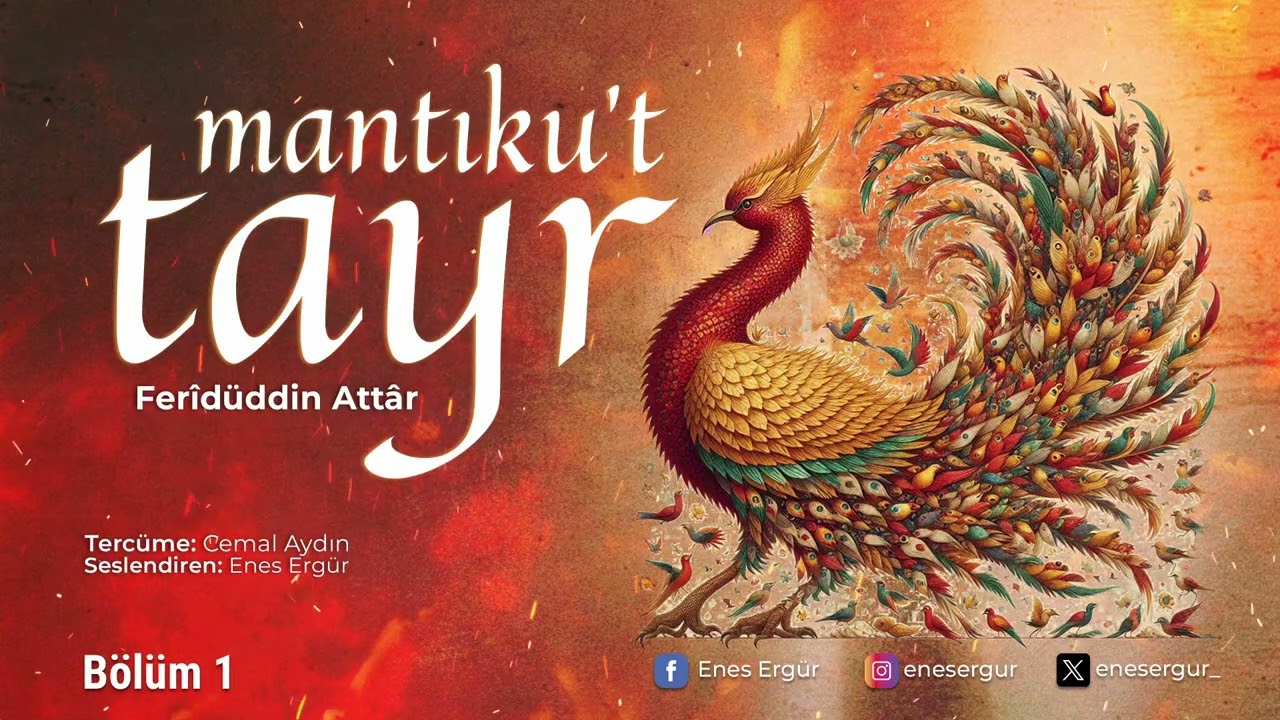 MANTIKU'T TAYR - 1.BÖLÜM