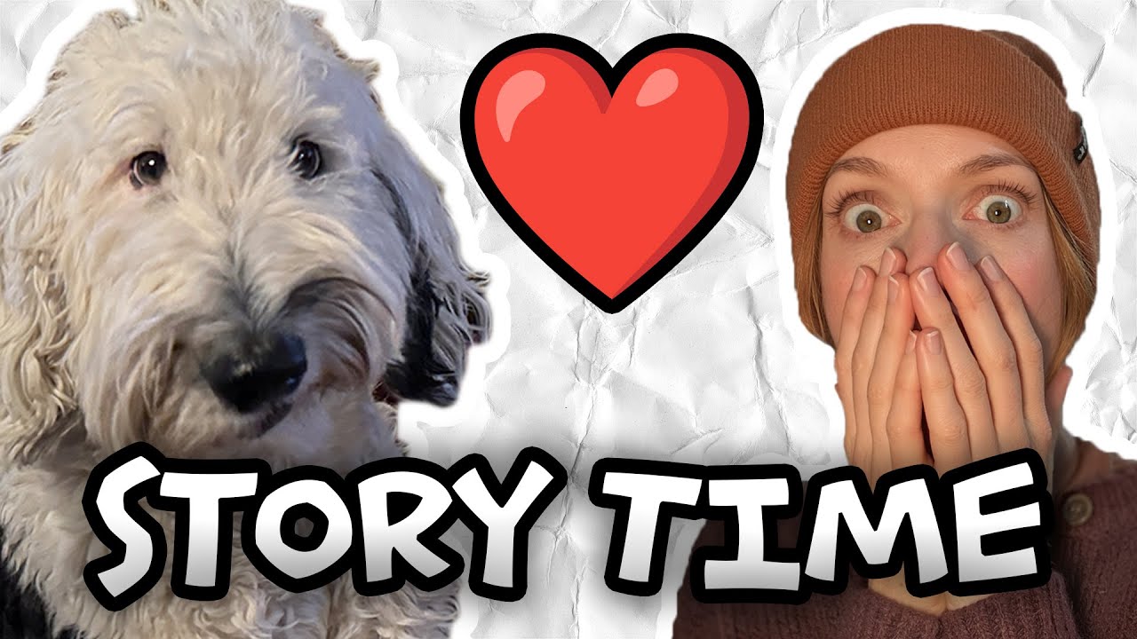 Can Bunny The Dog Feel Love?