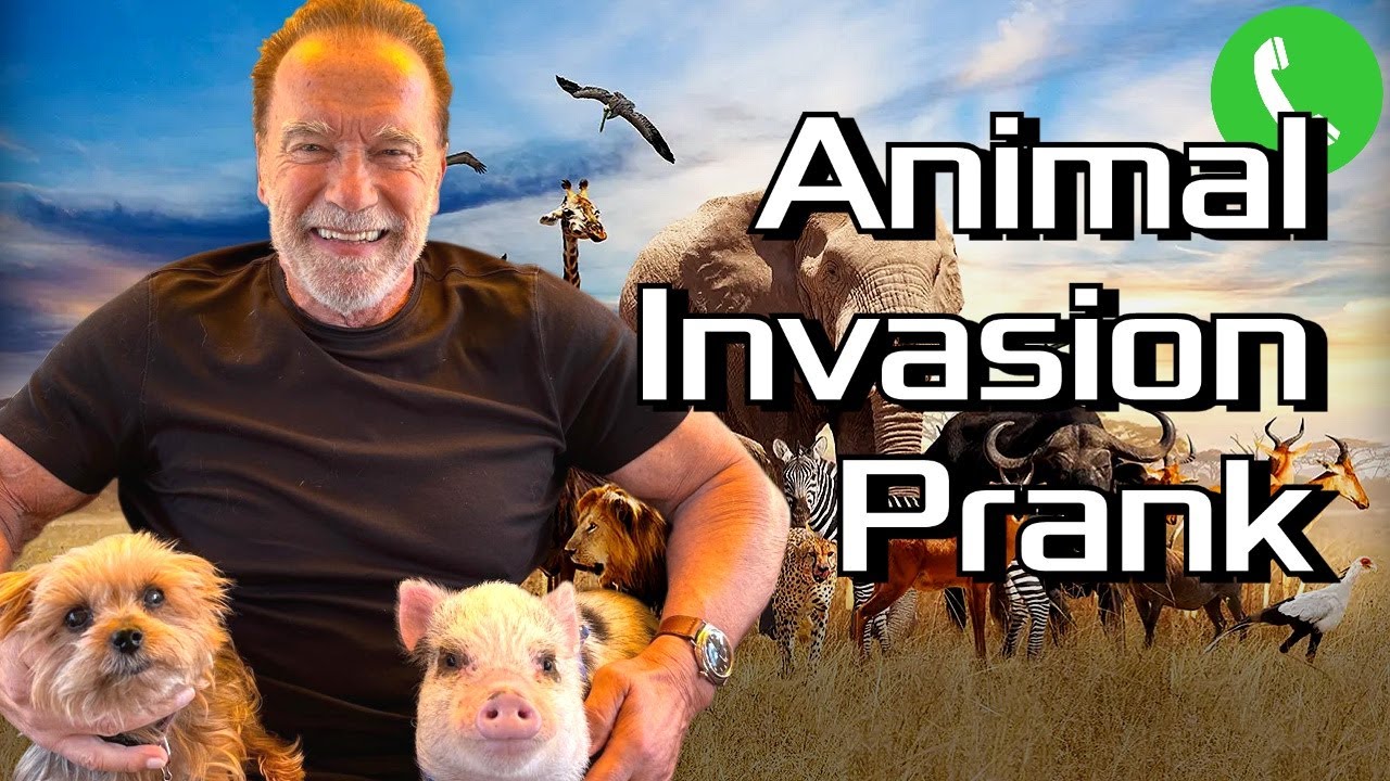 Animals Invade Arnold's House - Prank Call