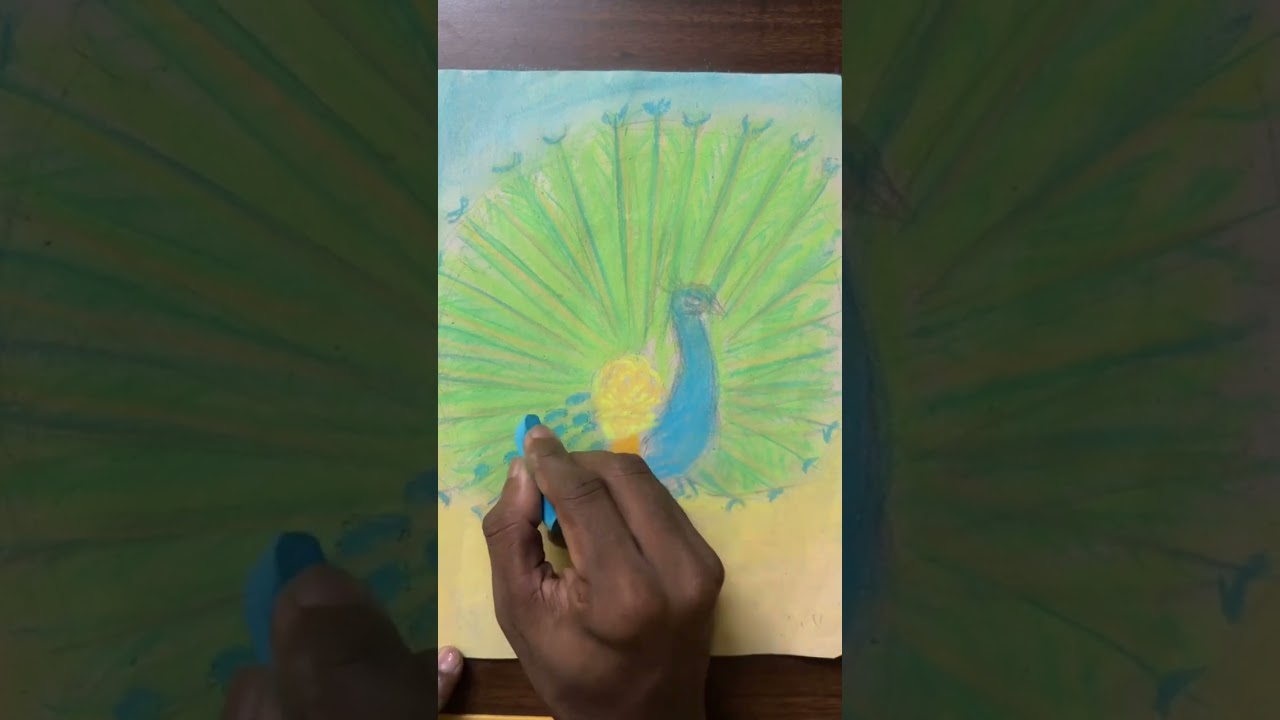 Dancing peacock with soft pastels.   (full video)#art #artist #drawing #softpastel #dancing #peacock