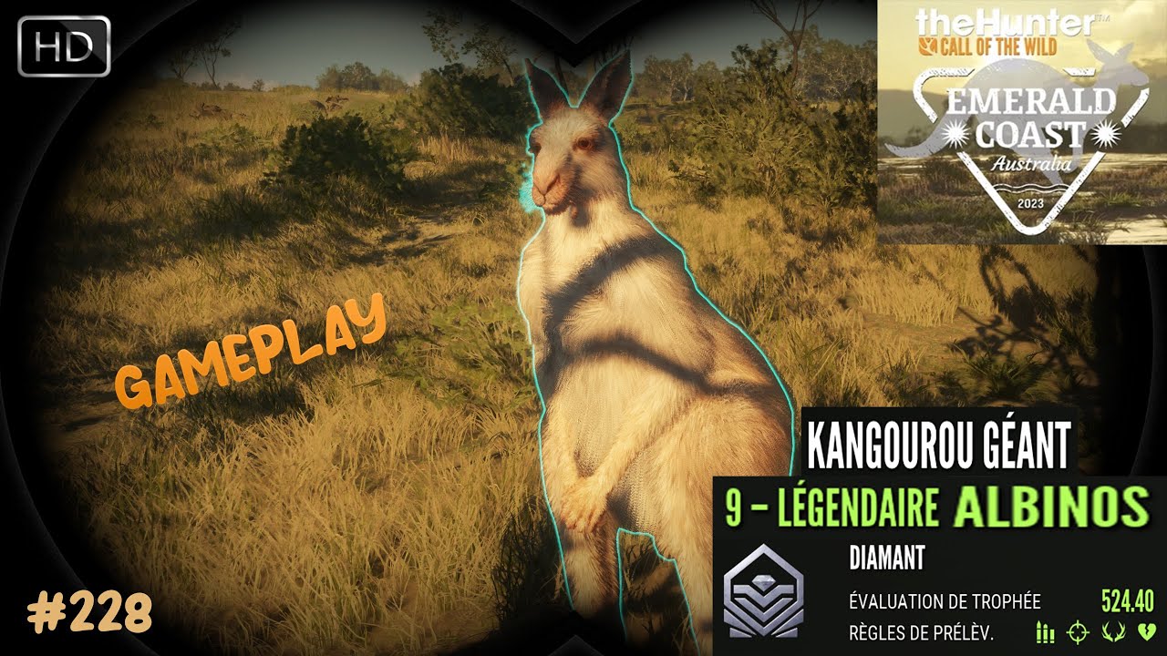 THEHUNTER COTW À LA CHASSE DU KANGOUROU LÉGENDAIRE #228 SUR EMERALD COAST AUSTRALIA !