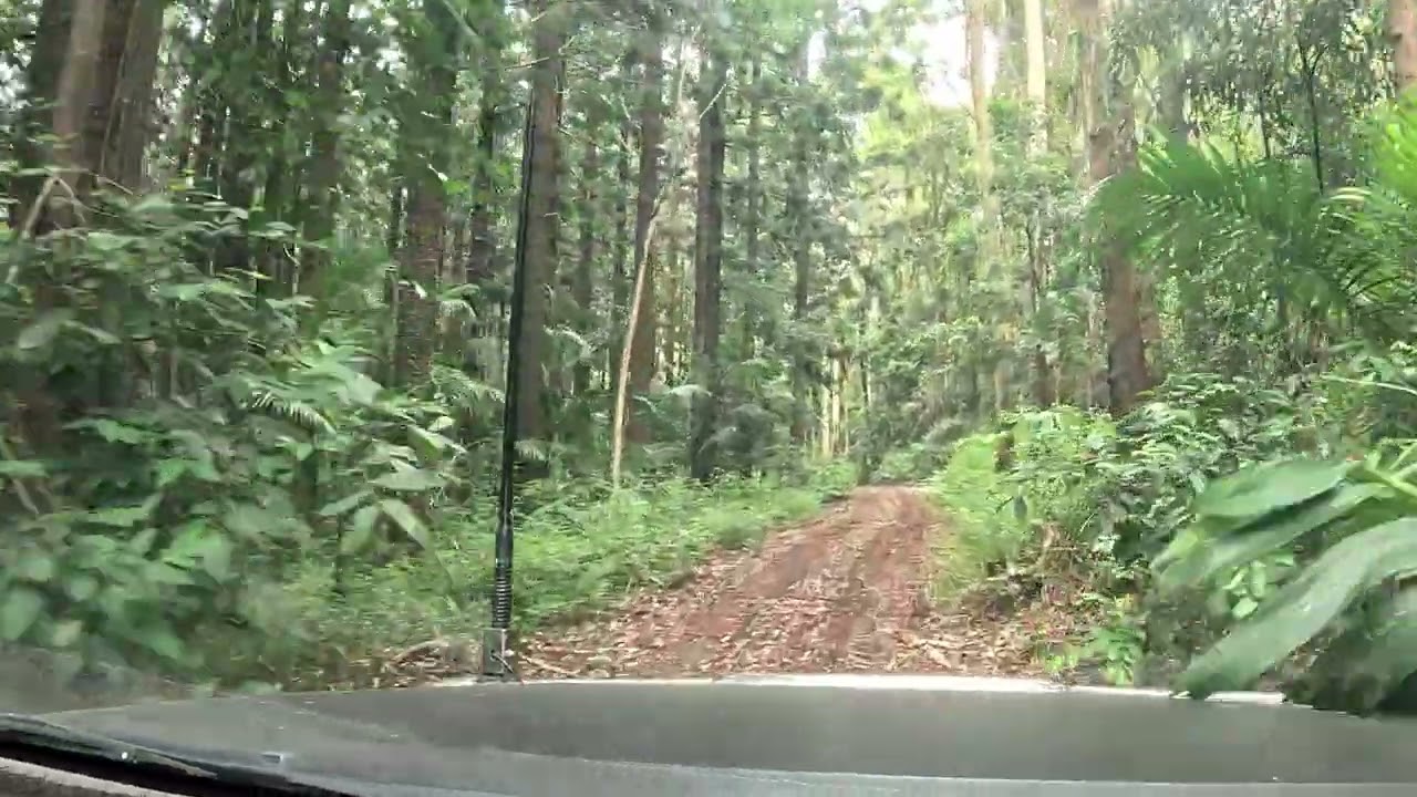 A bit of a tight track#4wd #wildlifebush#dothingsyoudontwanttodo but yes😆