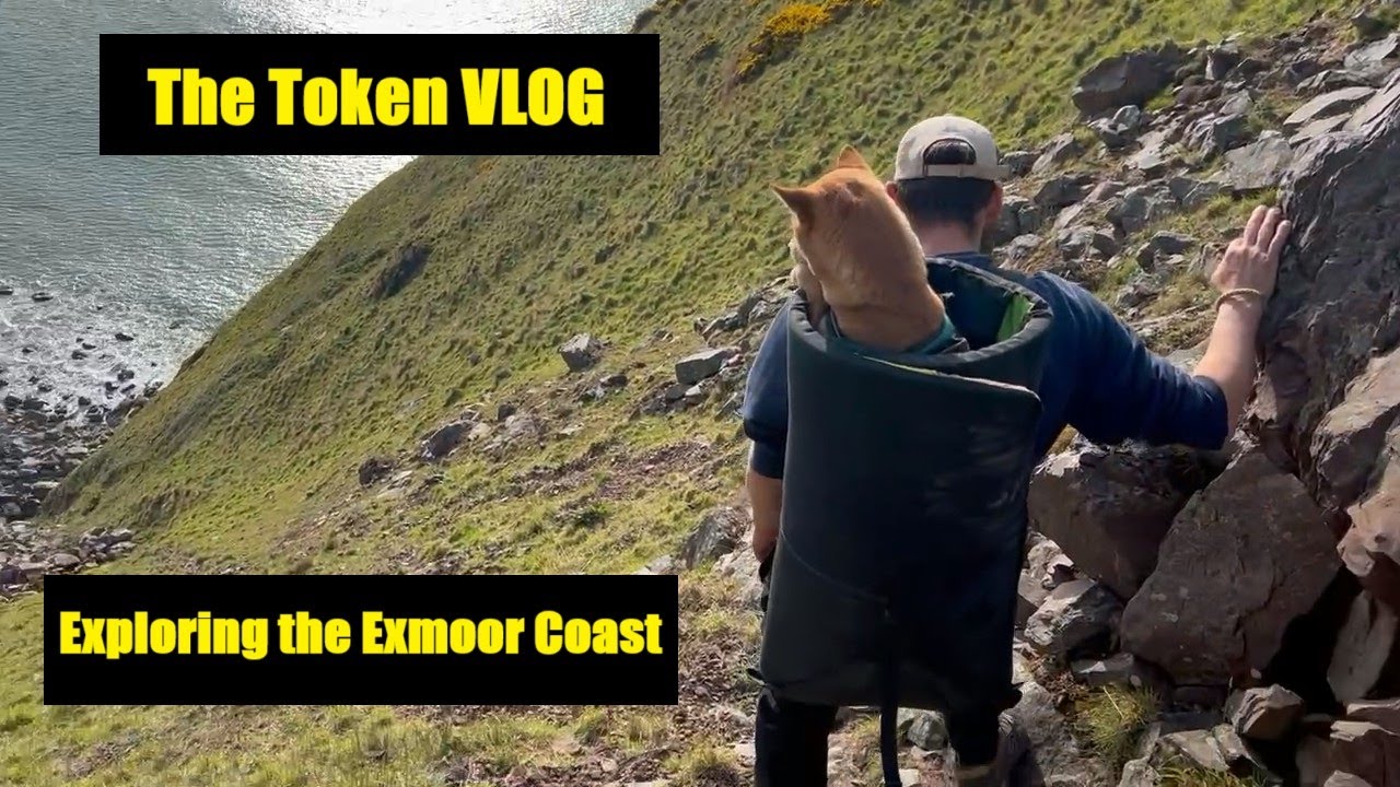 The Token VLOG