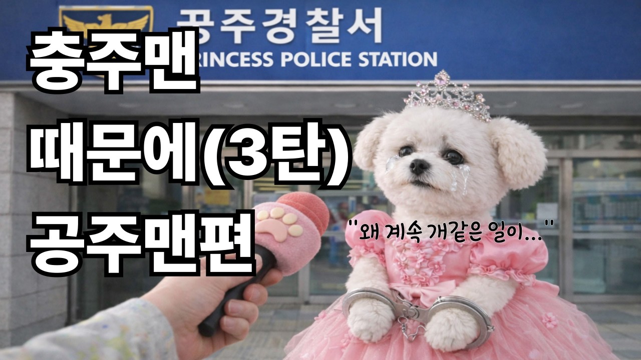 충주 경찰서 다음은 공주 경찰서? 댕댕이의 멈추지 않는 질주 🐾🚔