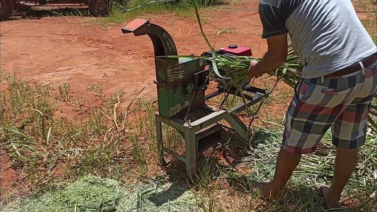 Liguei a forrageira com motor Estacionário pela primeira vez e fiz o teste mais não gostei😭