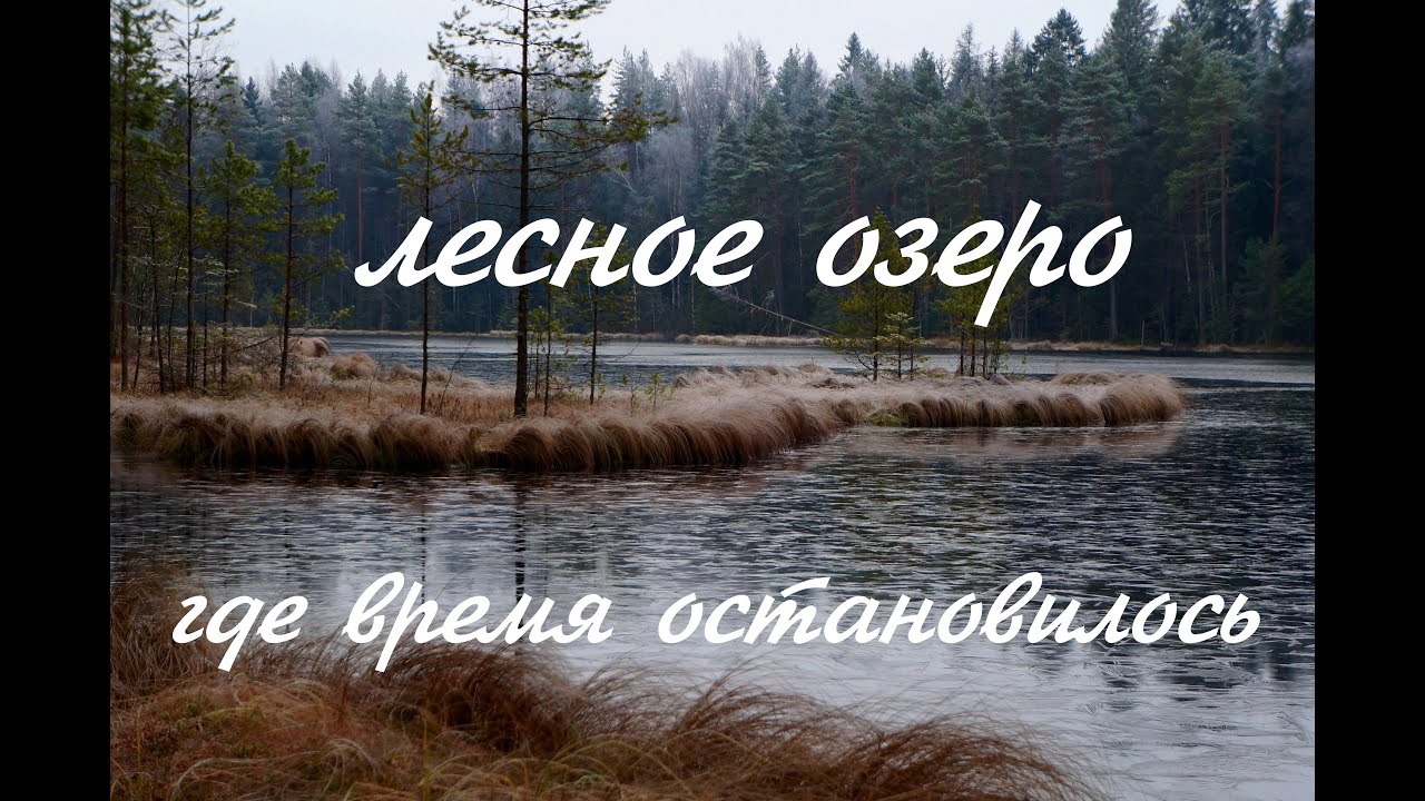 Велопрогулка до лесного озера в межсезонье
