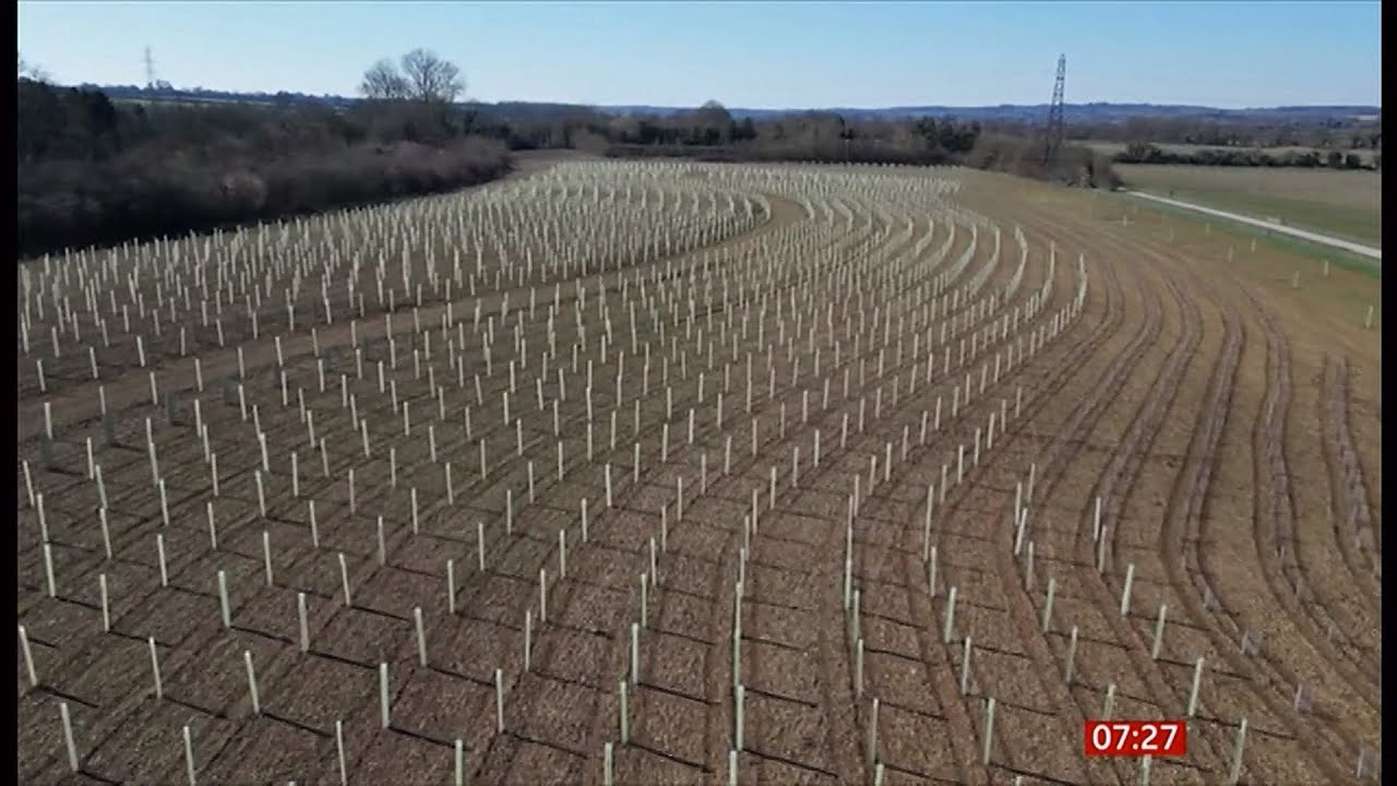 New national forest to see 20m trees planted (UK) 21/Mar/2025