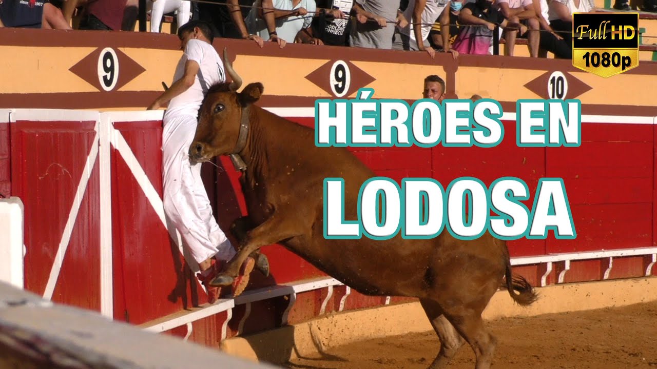 HÉROES EN LODOSA CON LAS MEJORES VACAS DE EULOGIO Y SAKA