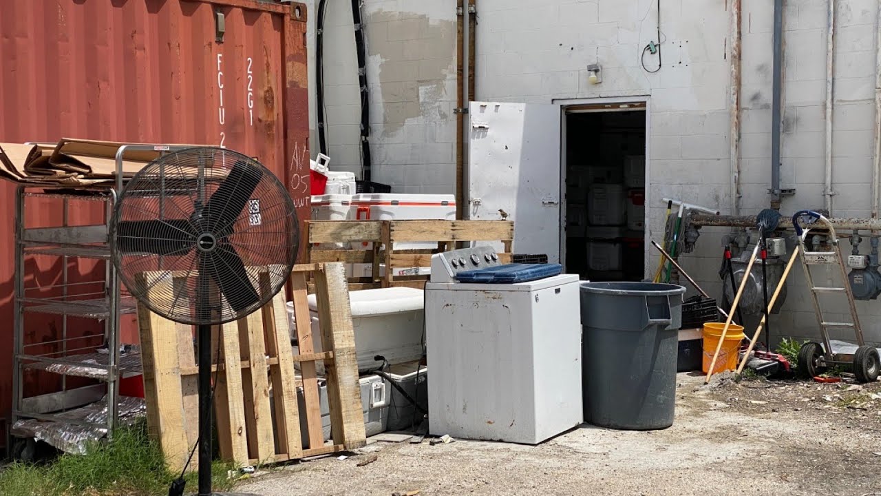 Behind the Kitchen Door: West Side bakery had exterior doors wide open, live roaches inside