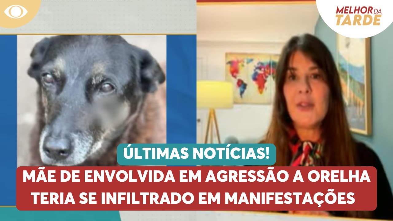 Mãe de envolvida em agressão a Orelha teria se infiltrado em manifestações | Melhor da Tarde