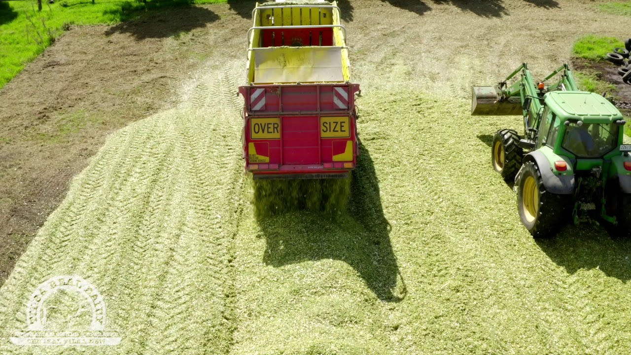 Tilba Real Dairy and Mountain Valley Farm
