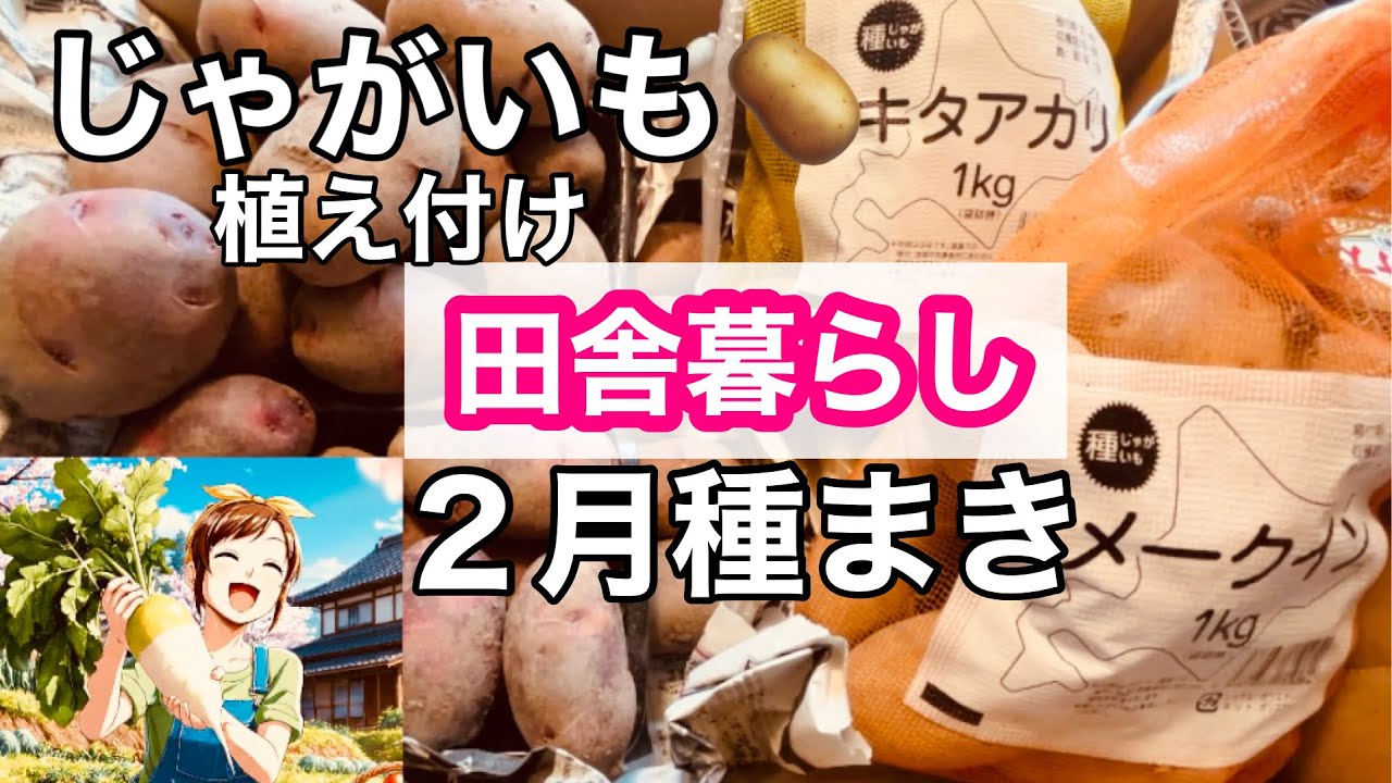 【田舎暮らし】じゃがいも植え付け＆2月の畑の様子117