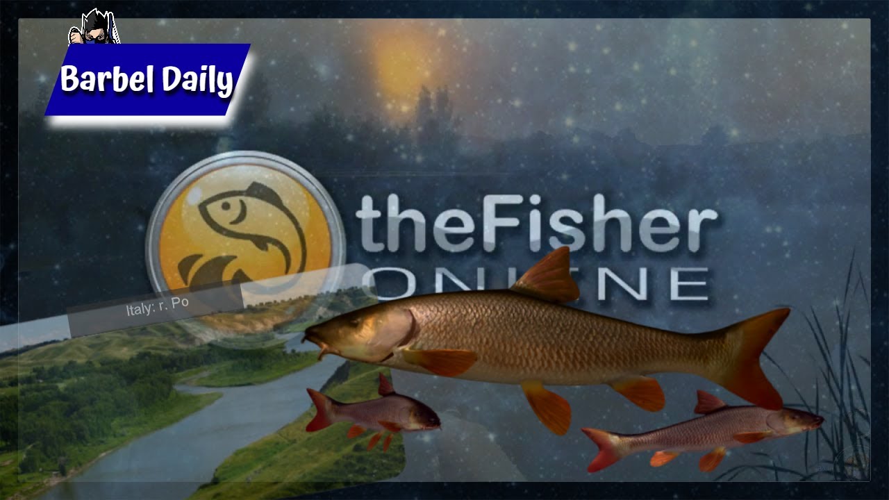 Fisher online Italy Daily Barbel