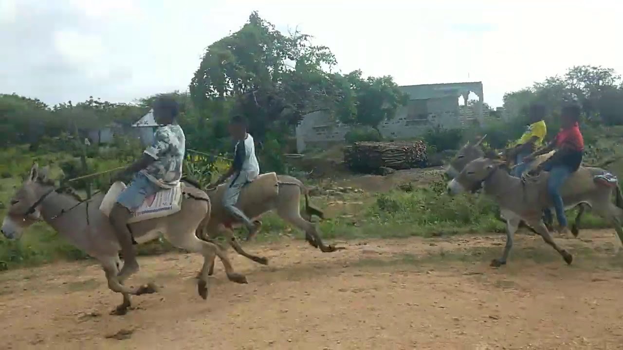 Kizingitini Donkey Race Competition