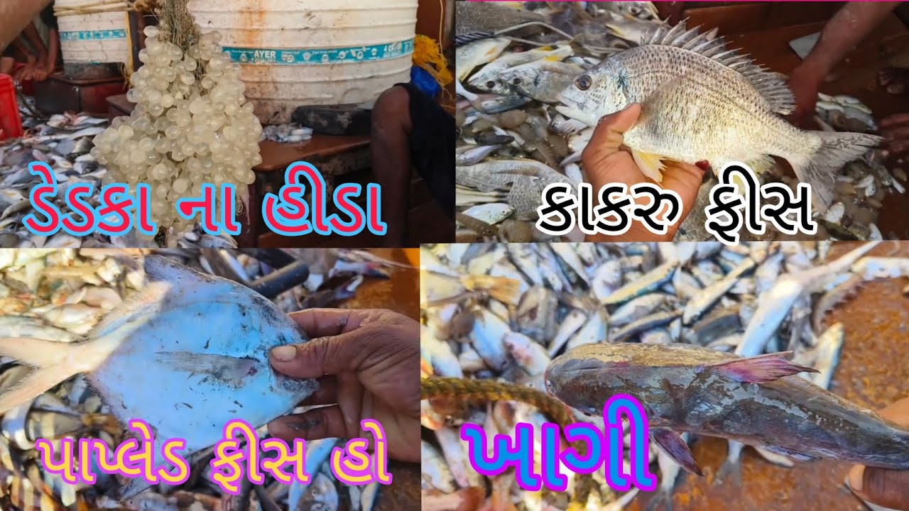 ડેટકા ના ઈંડા આવીયા  દરીયા ના બટેટા આવ્યા હો વાલા 