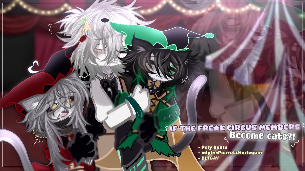 #POV If Pierrot & Harlequin Become Cats || TFC || BL GCMM/GLMM || Gacha || Original 
