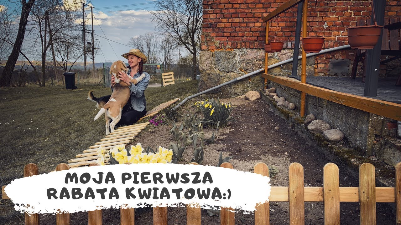 Moja pierwsza rabata kwiatowa:)