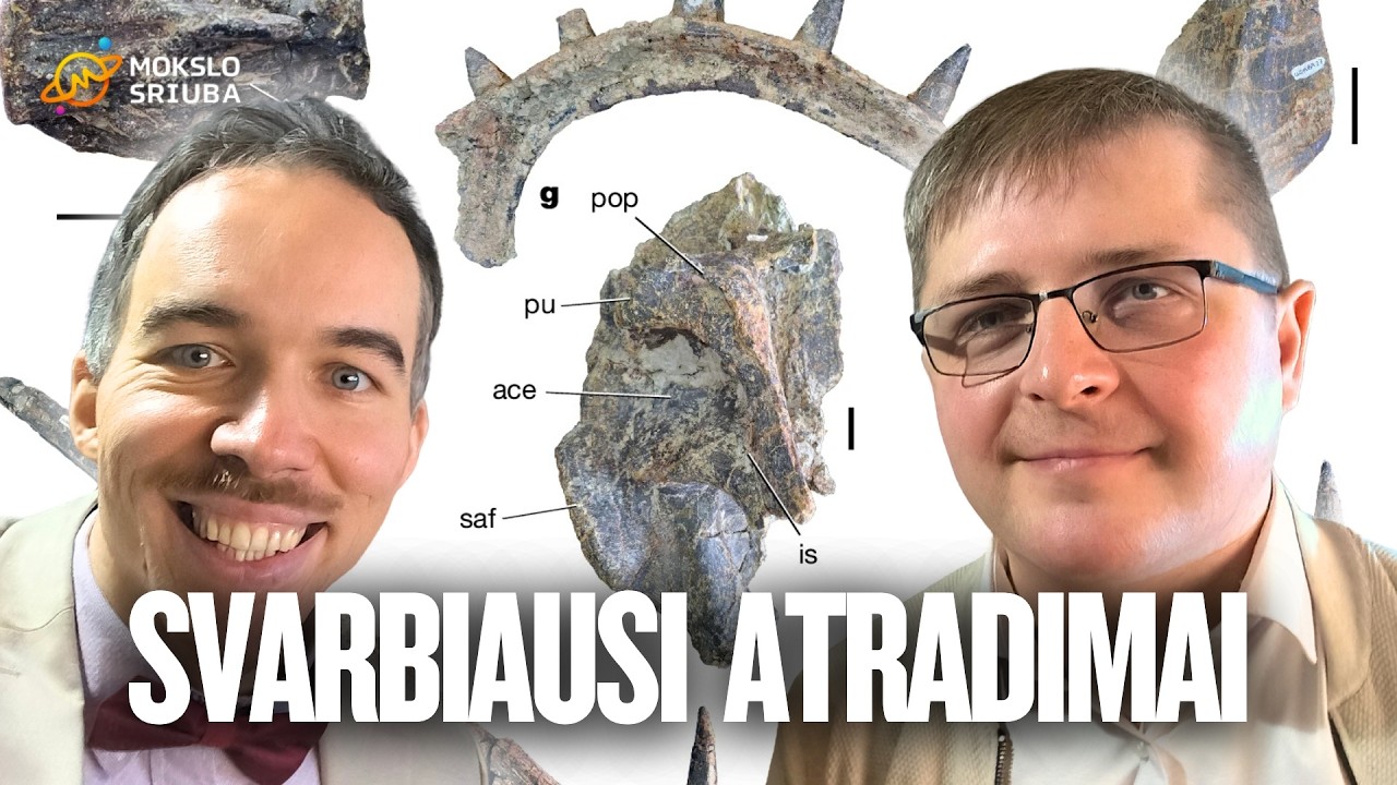TOP 3 svarbiausi paleontologijos mokslo atradimai 2025 m.