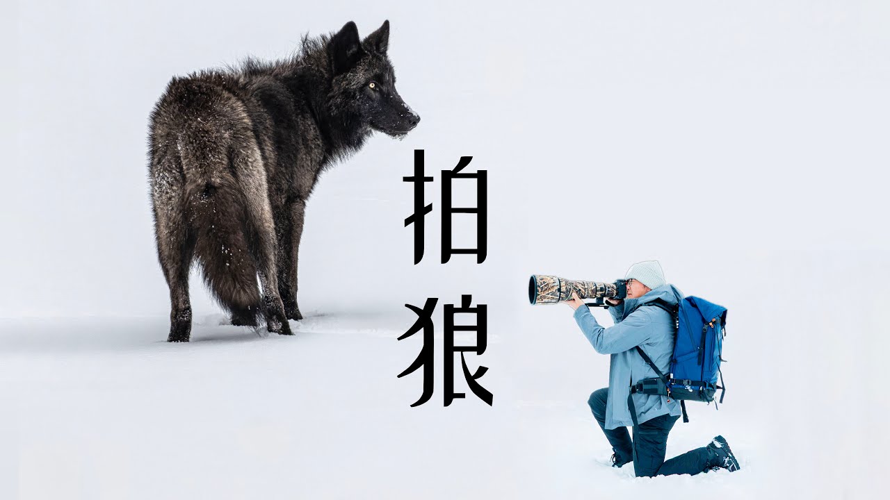如何拍野生动物？从相机到防护，我的全套野外拍摄装备清单