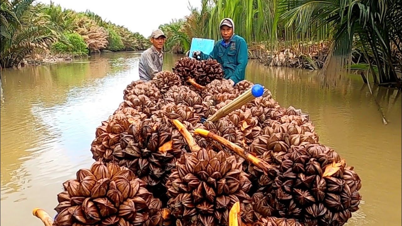 Gia Đình Nghề Mưu Sinh Vui Mừng Khi Nhận Được Cuộc Gọi Đến Từ Chủ Dựa
