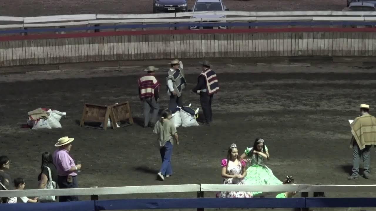 RODEO OFICIAL CLUB CATO (Asoc.Ñuble Cordillera) -  SERIE CAMPEONES