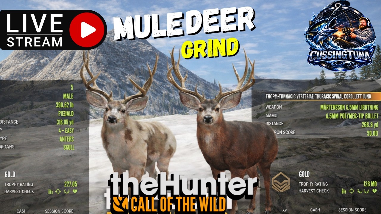 The Hunter: Call Of The Wild Grinding Mule Deer On Askey Ridge!!