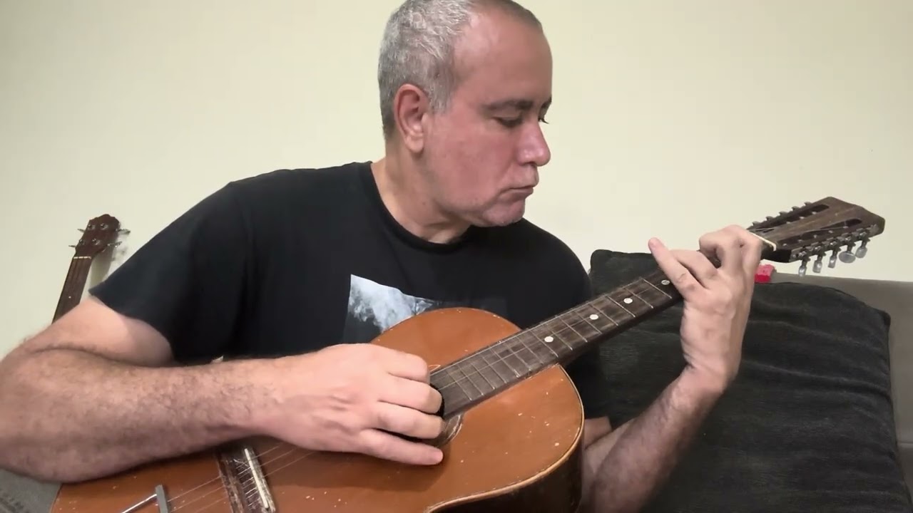 @pinkfloyd “In the Flesh?” - Brazilian Viola & Voice 