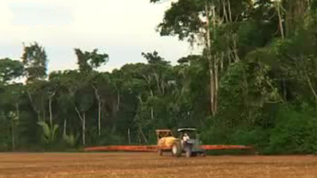 Environment vs Development | Amazon Truth & Myth | BBC Studios