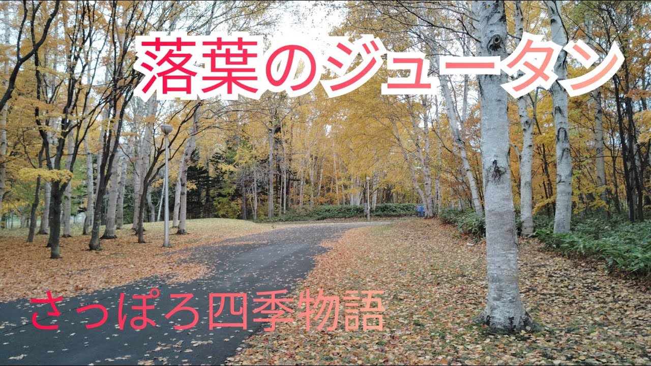 落葉のジュータン