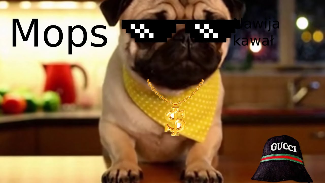 Ja mops! [OFFICIAL MUSIC VIDEO] ♪