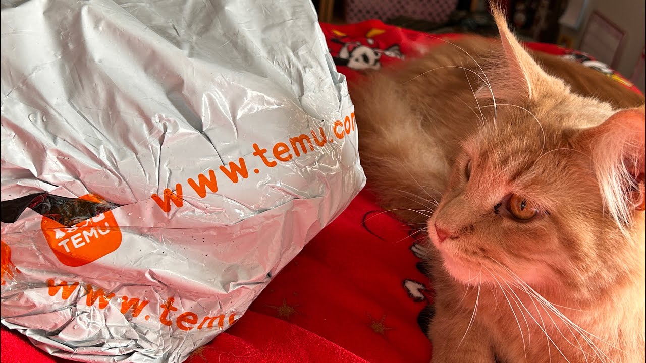 A Temu haul