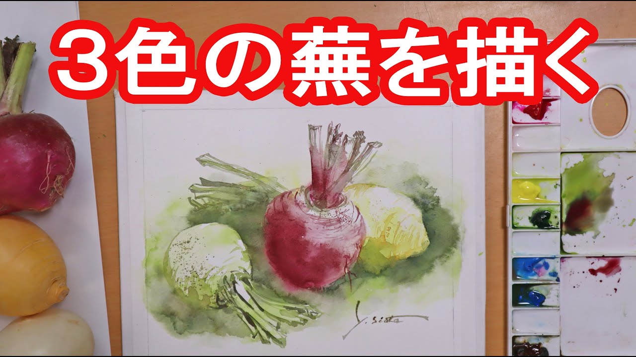 【透明水彩画】３色の蕪を描く