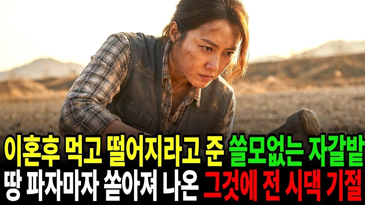 이혼 위자료로 받은 똥밭이 500억 옥광산? 전남편과 시어머니의 최후
