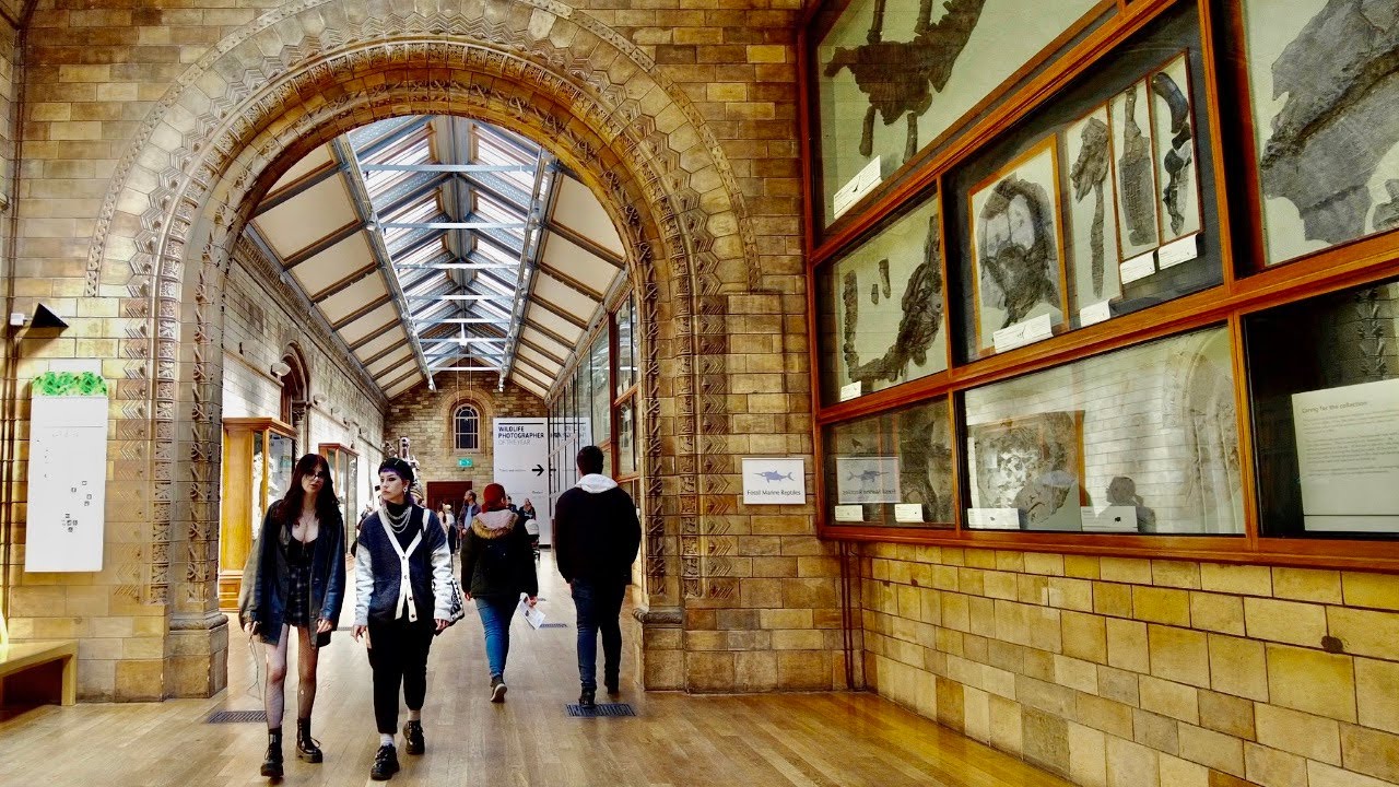 4K London Natural History Museum Walking Tour | Kensington