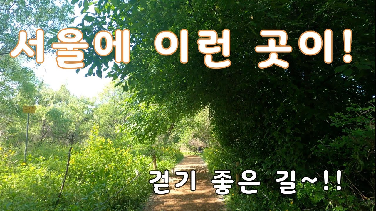 서울에 이런 곳이!!/ 햇살 좋은 날 산책한 암사생태공원
