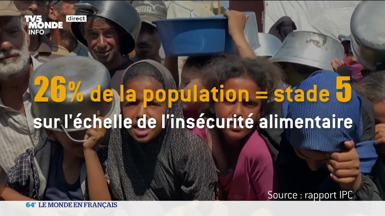 Bande de Gaza : la famine déclarée par l'ONU