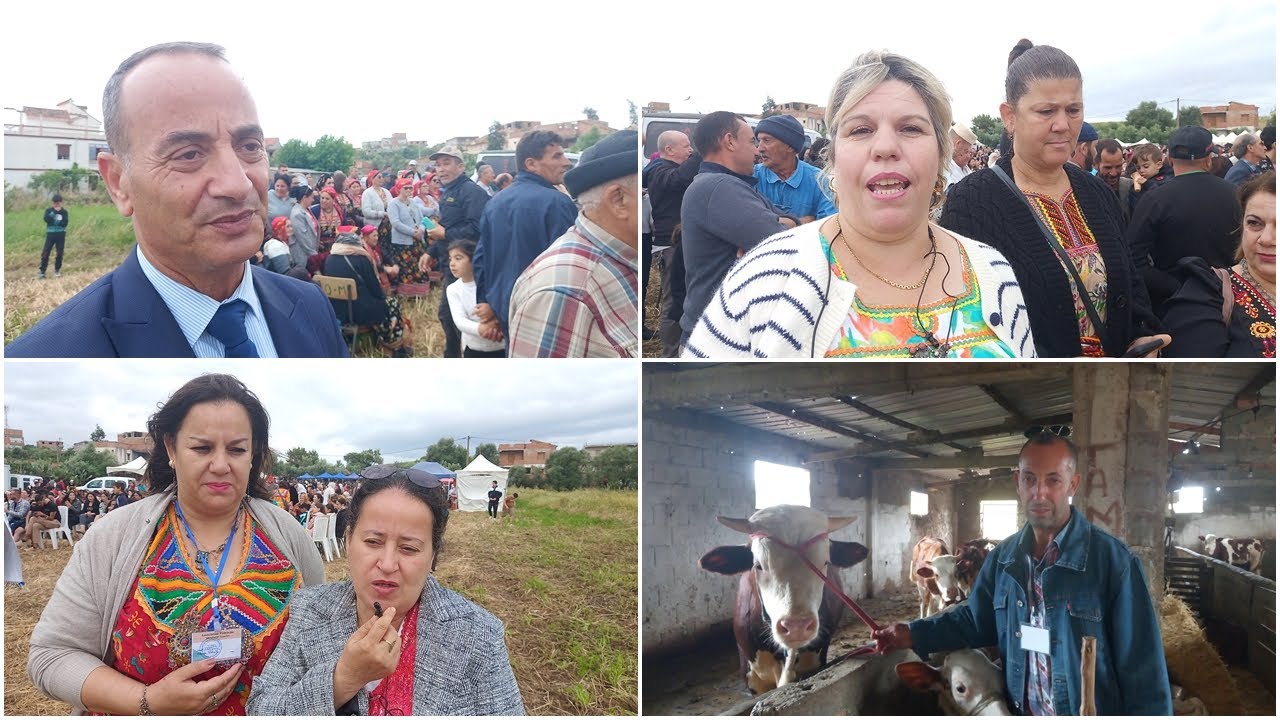 𝗞𝗔𝗥𝗜𝗠𝗔 𝗞𝗘𝗠𝗠𝗔𝗖𝗛𝗘 ,Hommage Rendu à Lounis Hamitouche à la Fête du Lait à Imaloussene à Timizart