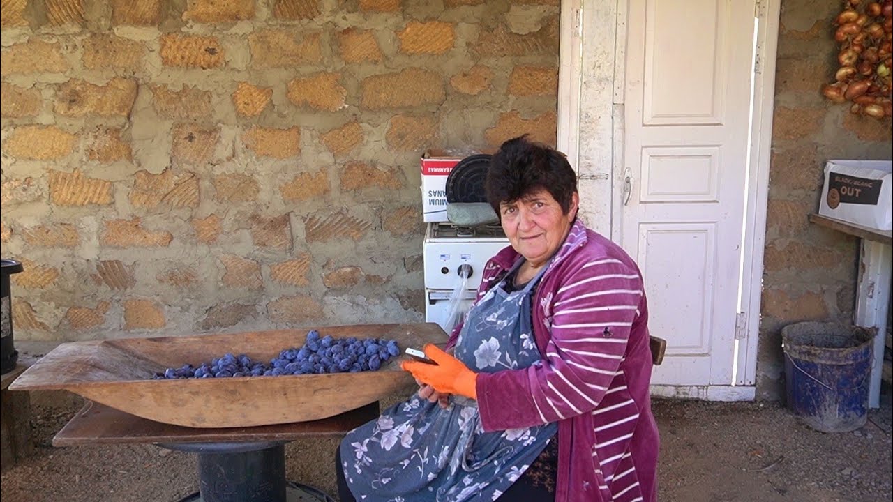 Սալորի Բերք էլ 《ՏՈՒՆ ՏՎԵՑԻՆՔ》Շամշադինի Համը - Шамшадин 