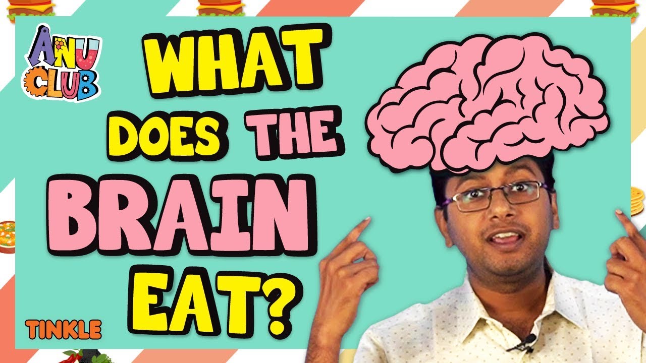 HOW FOOD YOU EAT AFFECTS YOUR BRAIN - Best Food To Boost Brain Power And Memory