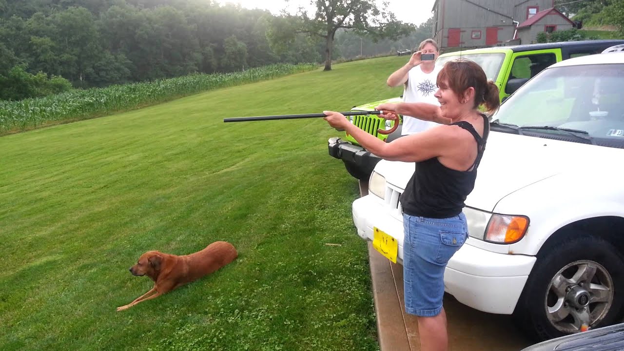 Joyce shooting the cane gun