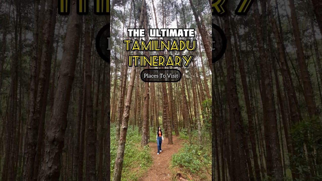 The Ultimate Tamil Nadu Itinerary #travel #itinerary #tamilnadu #tamil #india #trip #placestovisit