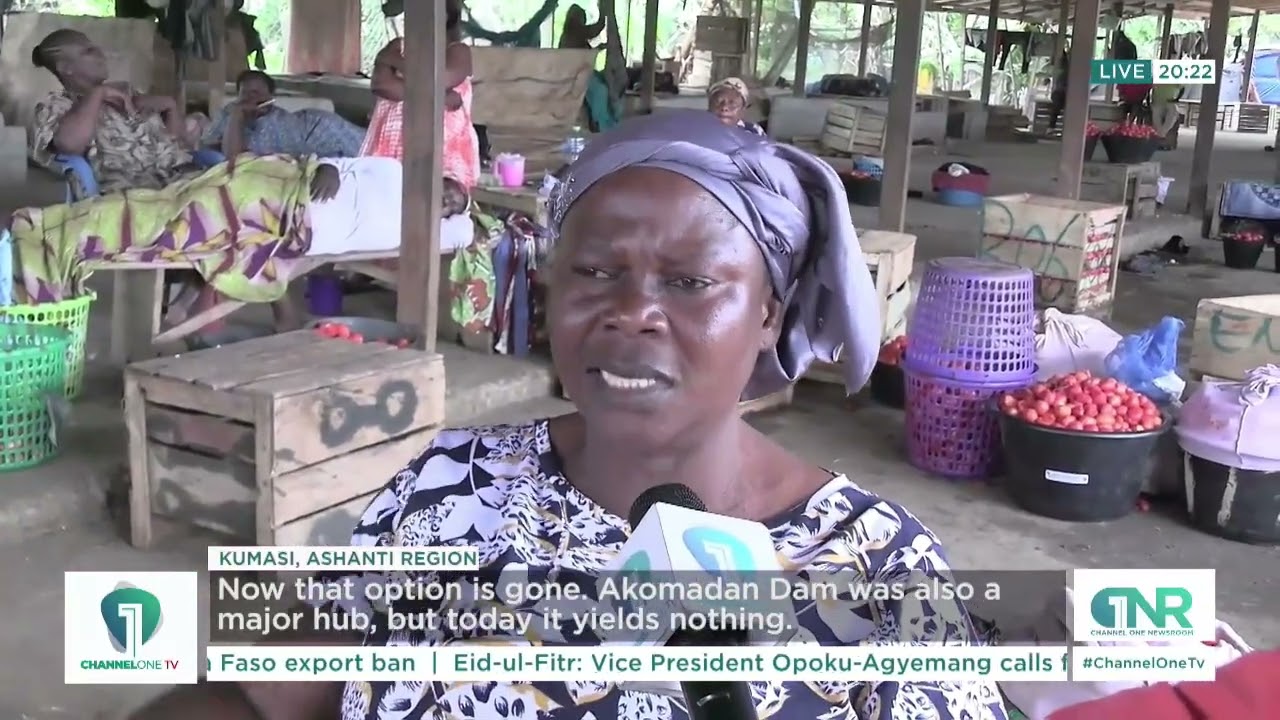 Tomato Export Ban: Kumasi Traders Fear Business Collapse, Prices Could Rise
