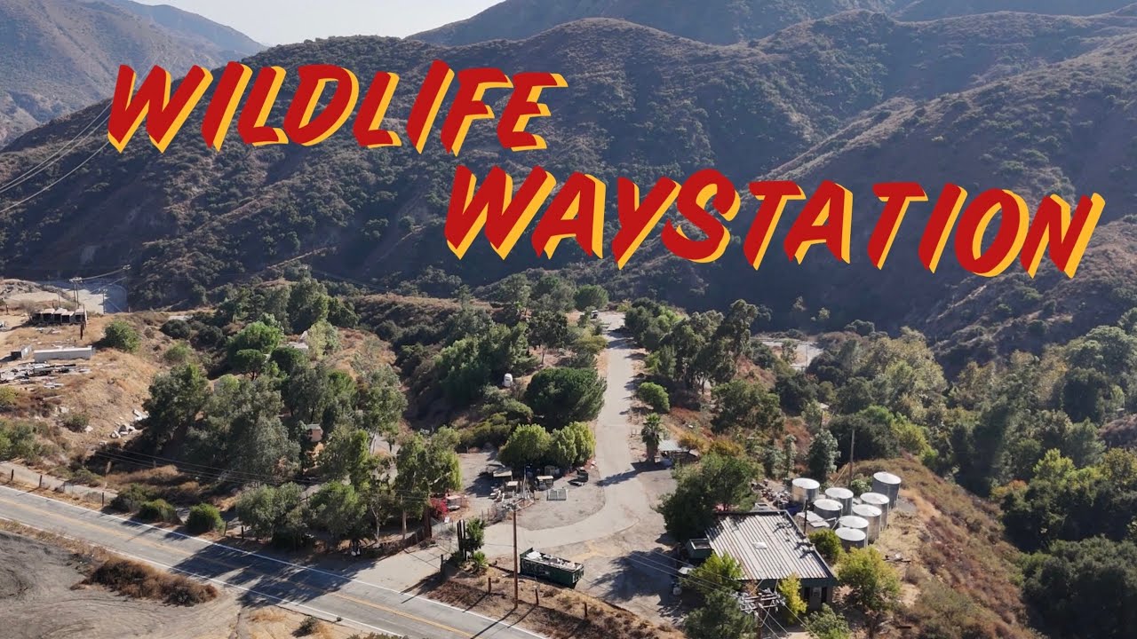Drone Flyover of the Closed Wildlife Waystation Sylmar California