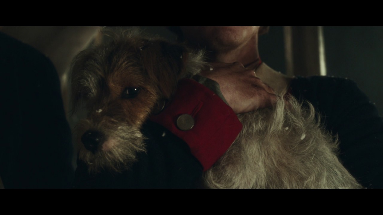 Pedigree's 